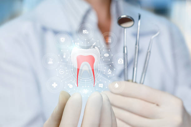 Trusted Michigan City, IN Holistic Dental Care Services Experts